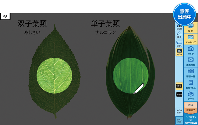 マーキングイメージ図