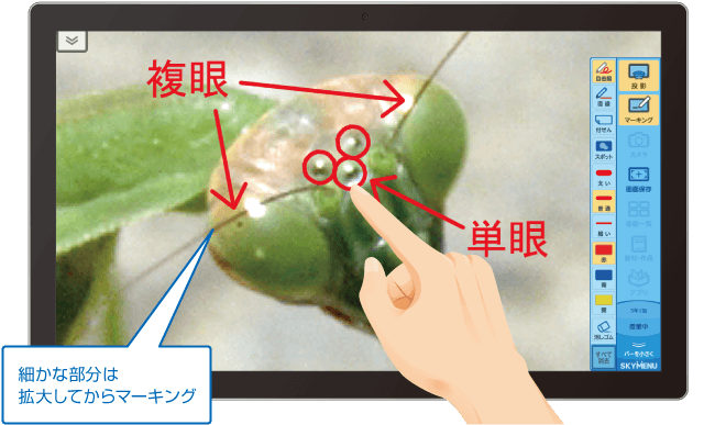 マーキングのイメージ図