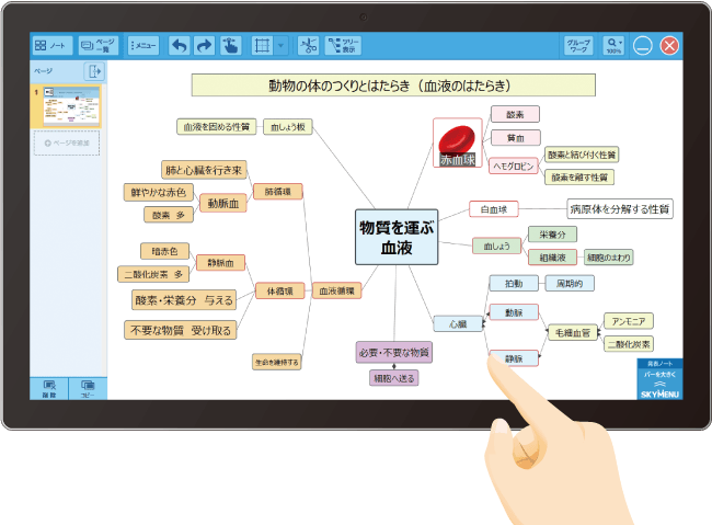 巡回表示イメージ図