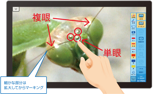 マーキングのイメージ図