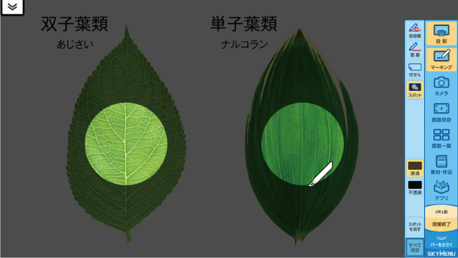 スポット強調のイメージ図