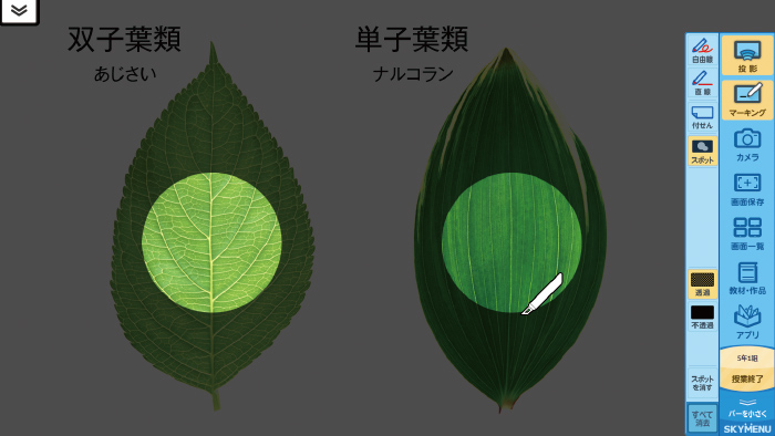 スポット強調のイメージ図